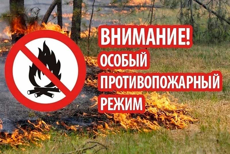 С 3 по 31 июля в Томской области действует особый противопожарный режим.